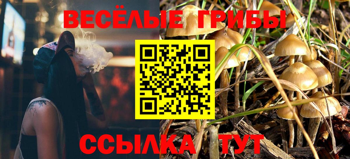 Саки  Галлюциногенные грибы Cubensis  Галлюциногенные грибы MAGIC MUSHROOMS  Вход с VPN 