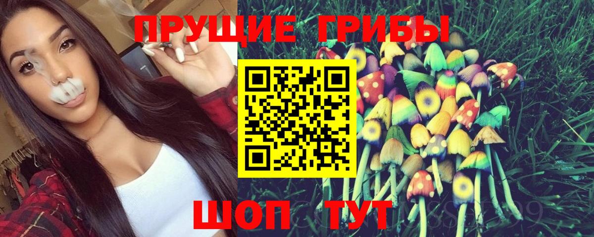 Псилоцибиновые грибы MAGIC MUSHROOMS  Саки 