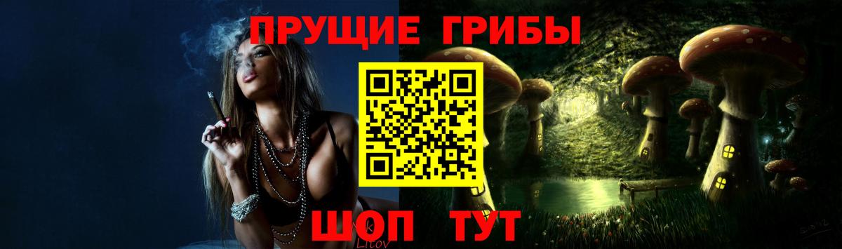 Галлюциногенные грибы Psilocybine cubensis Саки