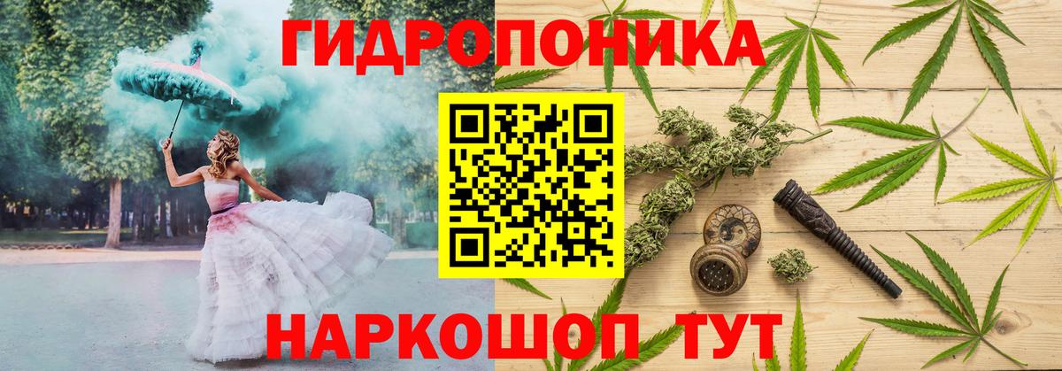 Бошки Шишки планчик Саки